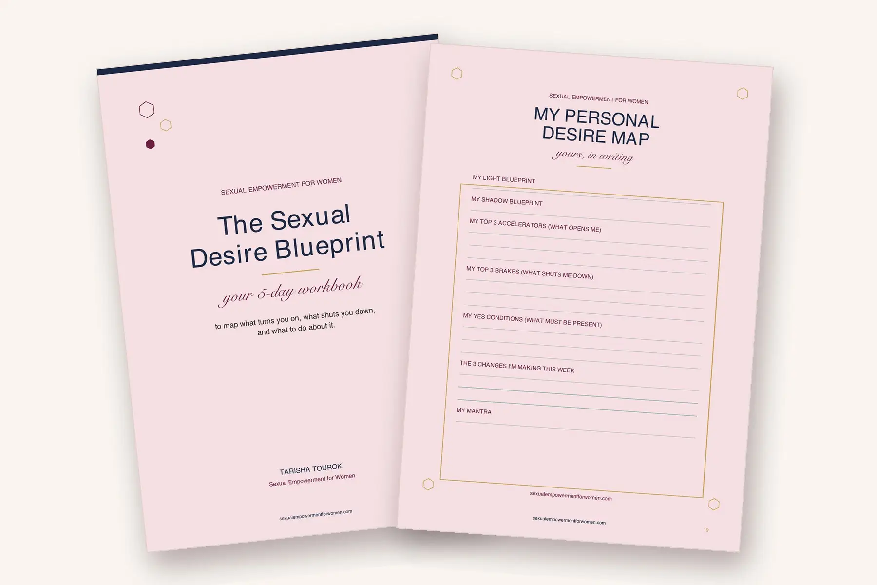 The Sexual Desire Blueprint workbook and the Personal Desire Map page