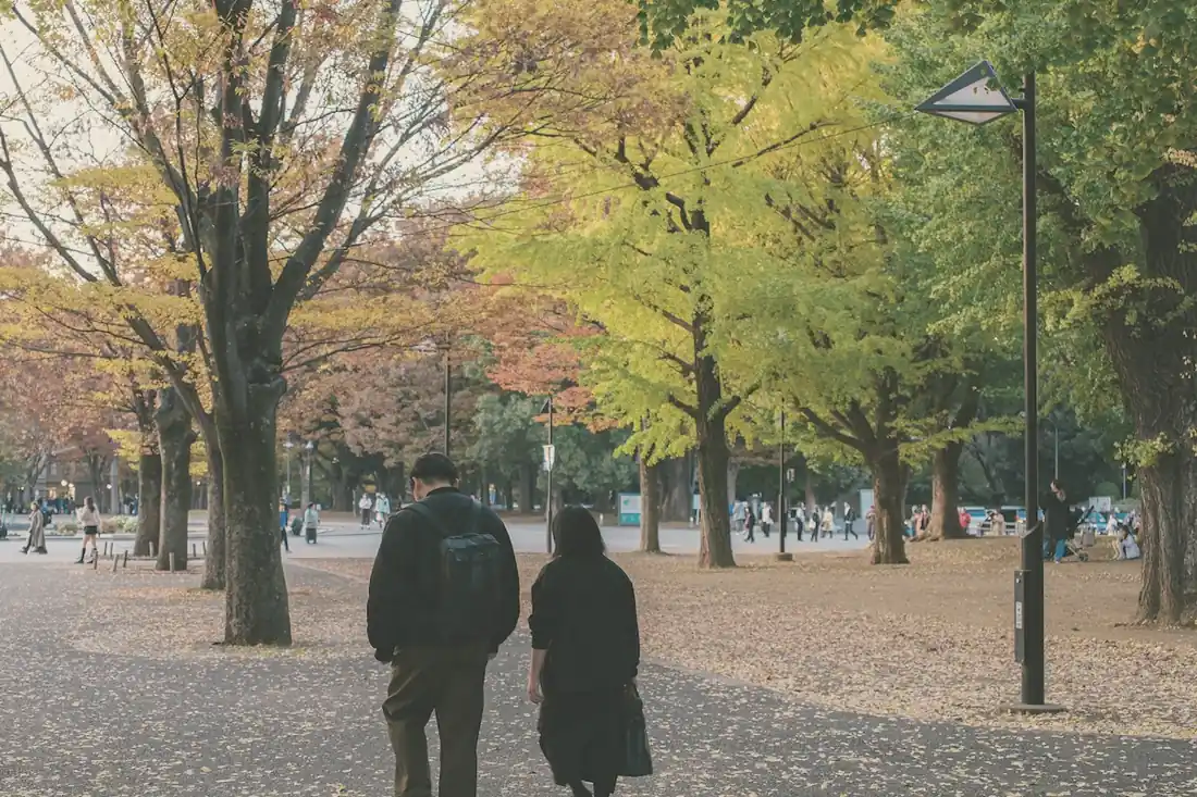 Couple walking on path with autumn trees